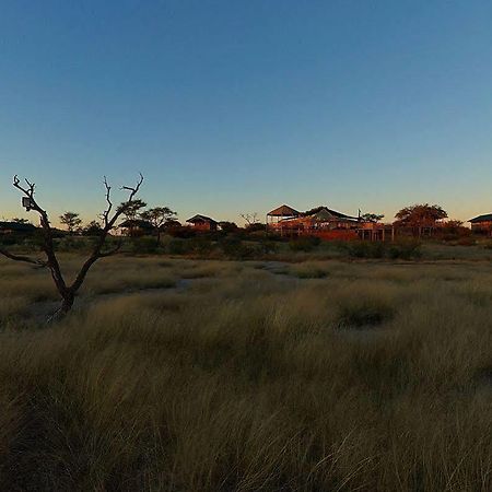 Suricate Tented Lodge Mariental Luaran gambar