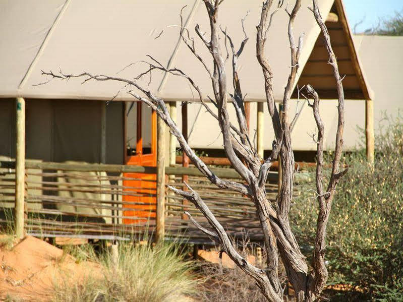 Suricate Tented Lodge Mariental Luaran gambar