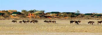 Suricate Tented Lodge Mariental Luaran gambar